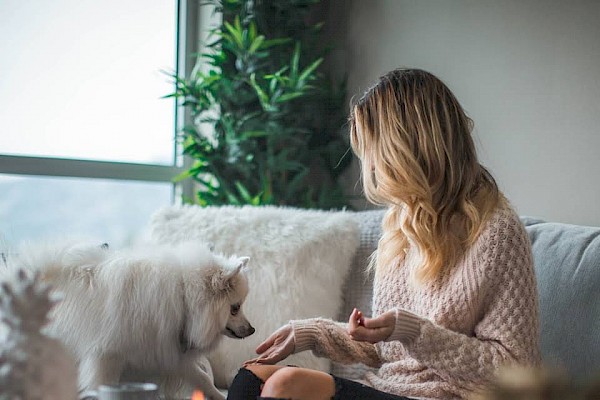 Electric Heating For Flats