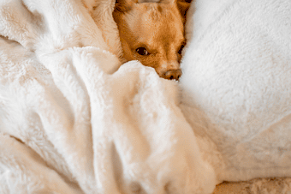 How To Save Money On Heating