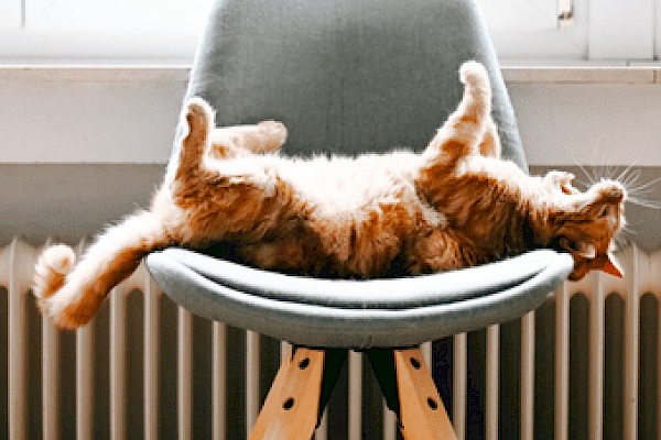 Cheapest Heater To Run: A Comprehensive Guide